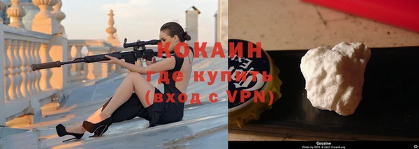 сатива Белокуриха