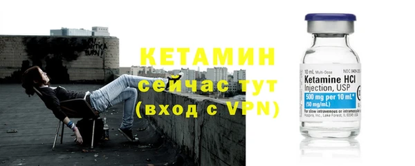 сатива Белокуриха