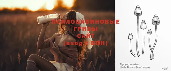 соль ск Белоозёрский