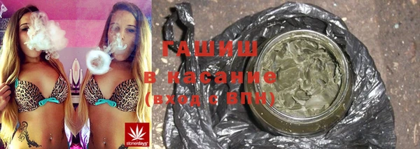 сатива Белокуриха